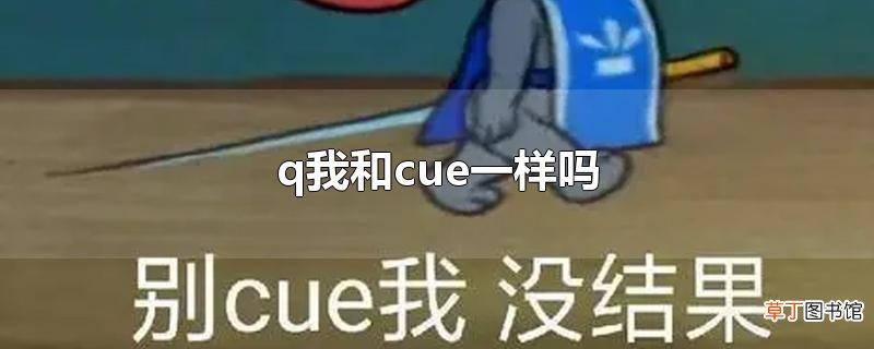 q我和cue一样吗