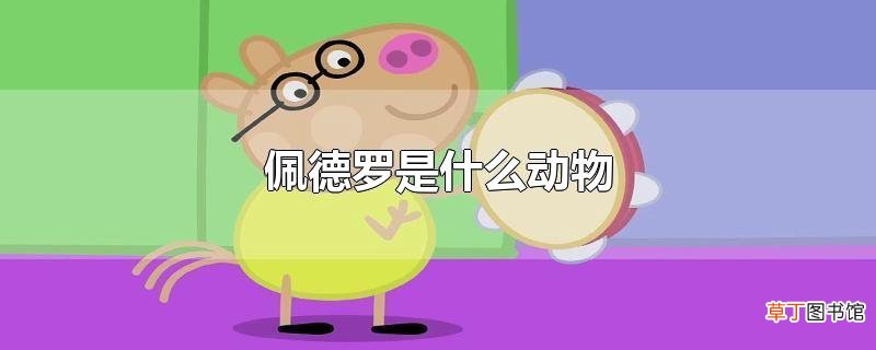 佩德罗是什么动物