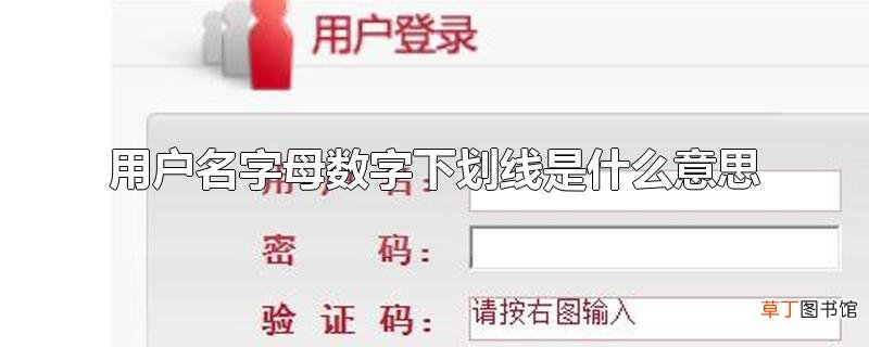 用户名字母数字下划线是什么意思