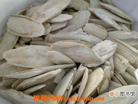 中药鱼古的功效与作用