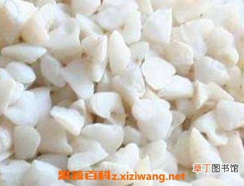 中药鱼脑石的功效与作用及药用价值