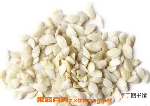 中药鱼脑石的功效与作用及药用价值