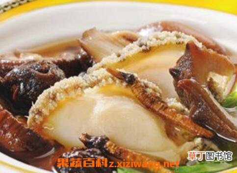 鲍鱼炖冬虫夏草的功效与作用