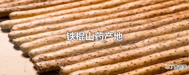 铁棍山药产地