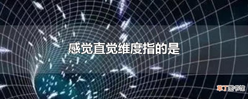 感觉直觉维度指的是