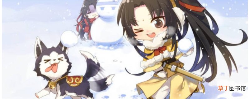 魔道祖师仙子是谁