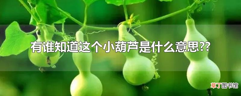 有谁知道这个小葫芦是什么意思??