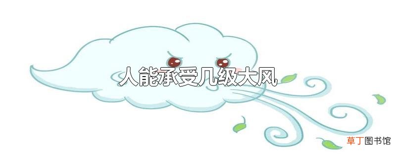 人能承受几级大风
