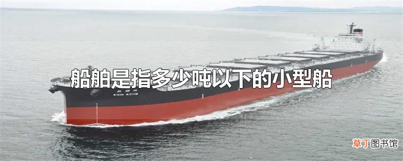 船舶是指多少吨以下的小型船