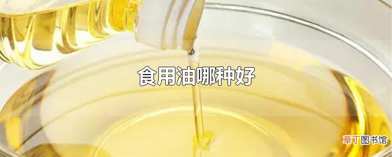 食用油哪种好