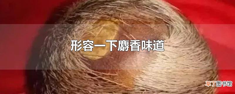 形容一下麝香味道