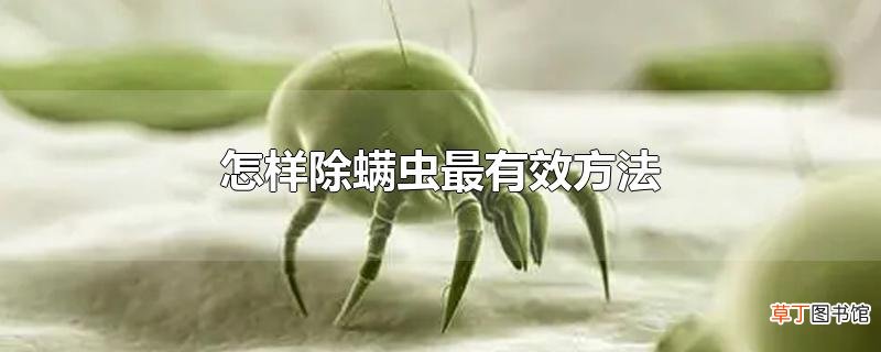 怎样除螨虫最有效方法
