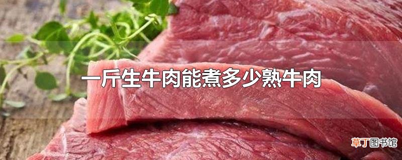 一斤生牛肉能煮多少熟牛肉