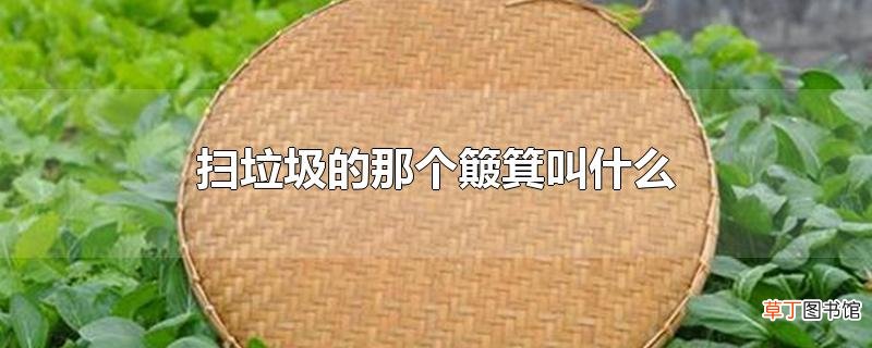 扫垃圾的那个簸箕叫什么