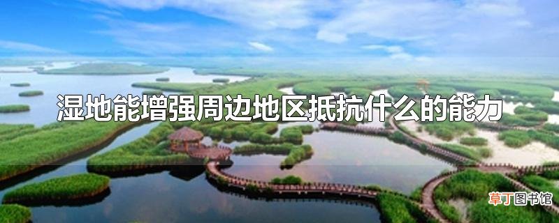 湿地能增强周边地区抵抗什么的能力