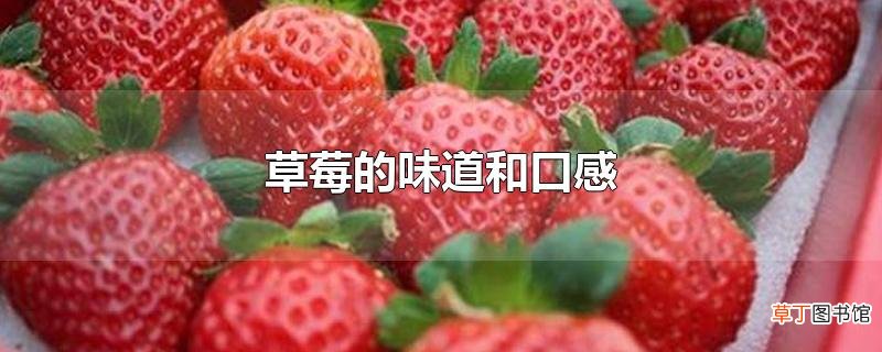 草莓的味道和口感