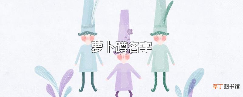 萝卜蹲名字