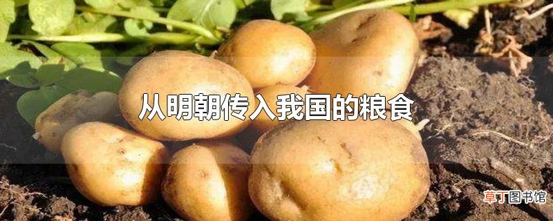 从明朝传入我国的粮食
