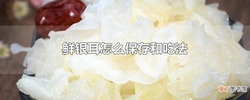鲜银耳怎么保存和吃法