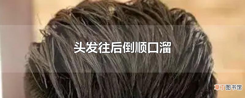 头发往后倒顺口溜