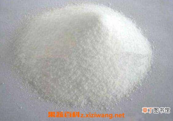 海藻糖的功效与作用