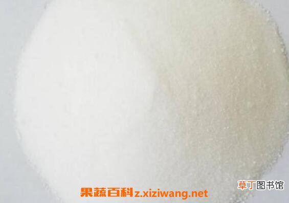 海藻糖的功效与作用