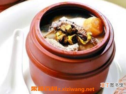 彭鱼腮瘦肉汤的功效及制作方法