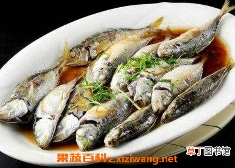 巴浪鱼的功效和作用