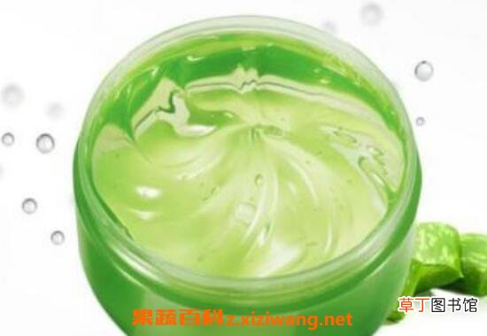 芦荟胶的使用方法 芦荟胶的正确用法