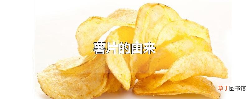 薯片的由来