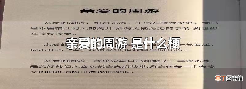 亲爱的周游 是什么梗