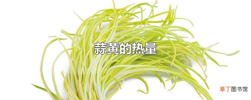 蒜黄的热量