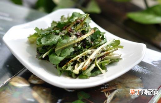 盆腔腹膜炎饮食注意事项 盆腔腹膜炎正确的护理措施