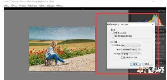 lightroom如何将图片格式保存为dng?lightroom将图片格式保存为dng教程