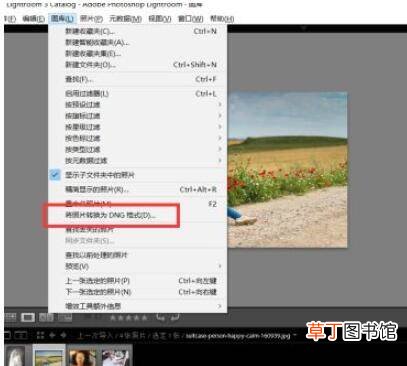 lightroom如何将图片格式保存为dng?lightroom将图片格式保存为dng教程