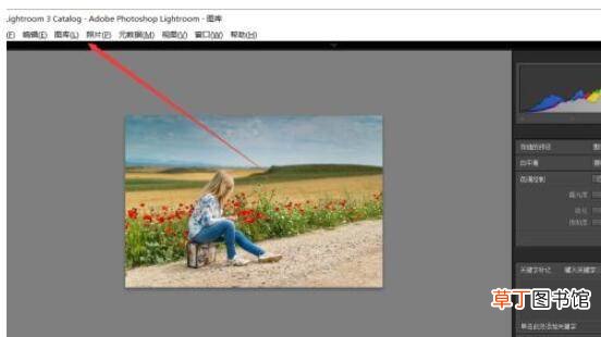 lightroom如何将图片格式保存为dng?lightroom将图片格式保存为dng教程
