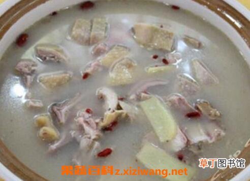 猪肚鱼的功效与作用
