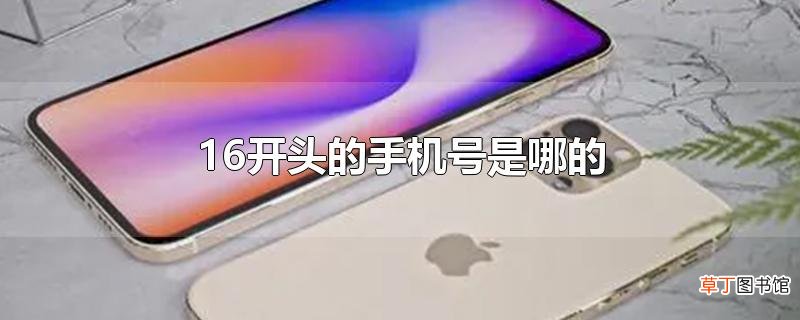 16开头的手机号是哪的