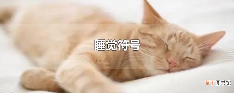 睡觉符号