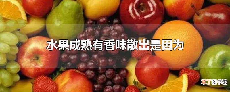 水果成熟有香味散出是因为