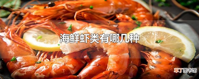 海鲜虾类有哪几种