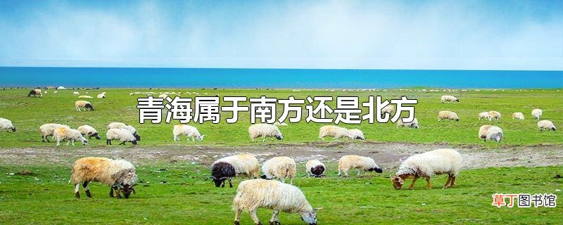 青海属于南方还是北方