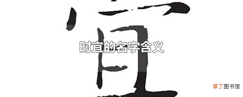 时宜的名字含义