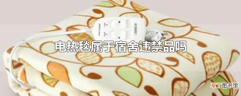 电热毯属于宿舍违禁品吗
