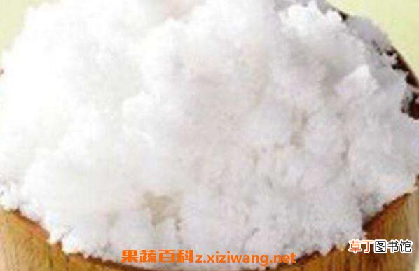 水苏糖的功效与作用