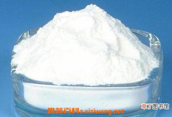 水苏糖的功效与作用
