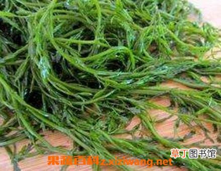 螺旋藻怎么吃 螺旋藻的吃法技巧
