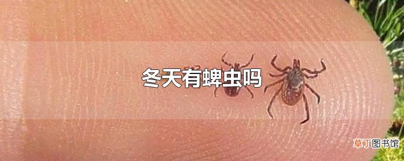 冬天有蜱虫吗