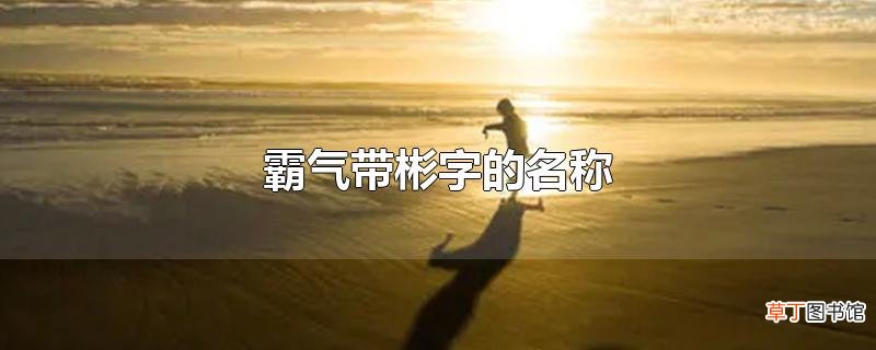 霸气带彬字的名称