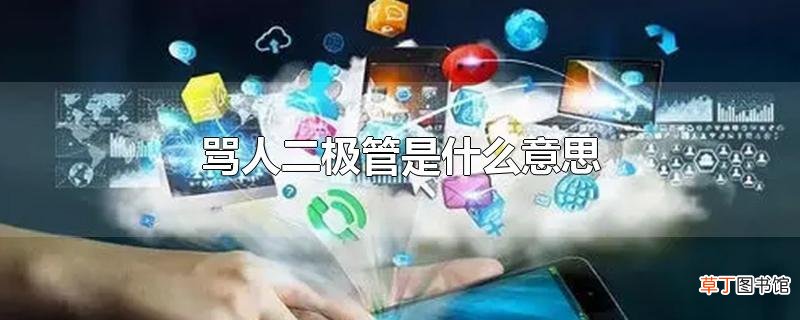 骂人二极管是什么意思